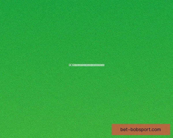 BOB体育入口全方位解析助力用户畅享极致体育体验