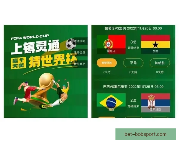 世界杯竞猜投注平台深度解析与安全选择策略全指南