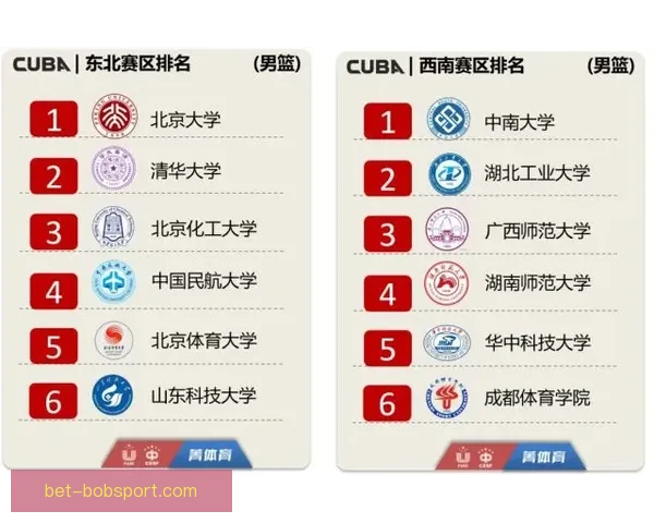 体育竞猜赔率解析与投注策略全面指南提升胜率技巧